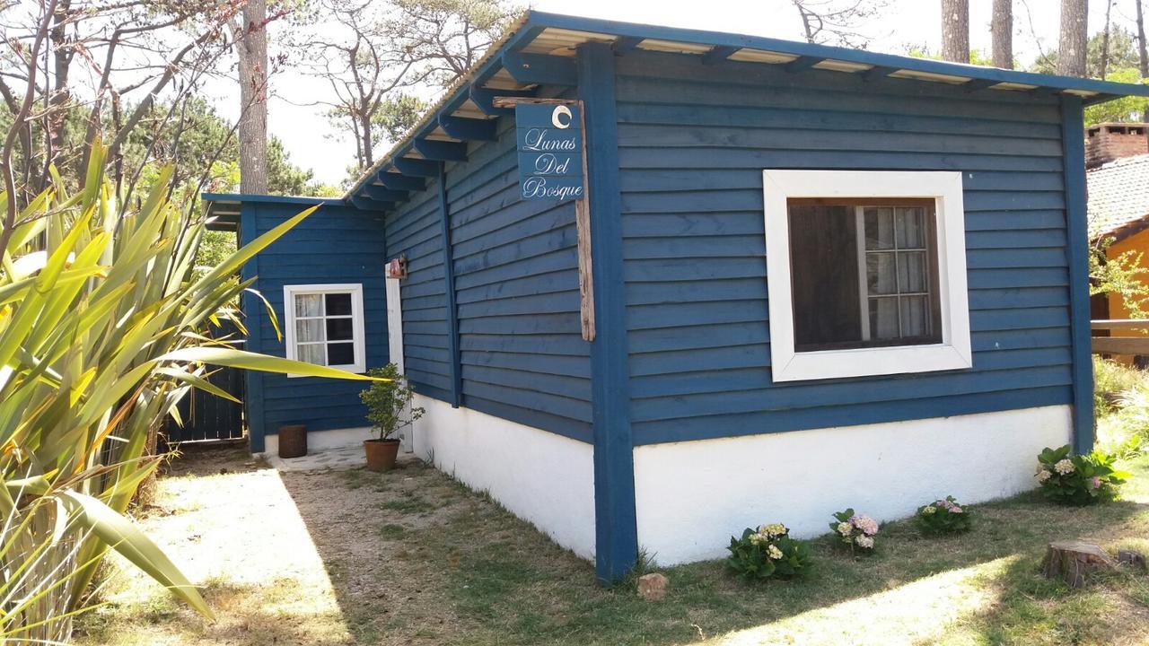 Lunas Del Bosque Cabana Y Apartamento En Suite La Paloma Kültér fotó
