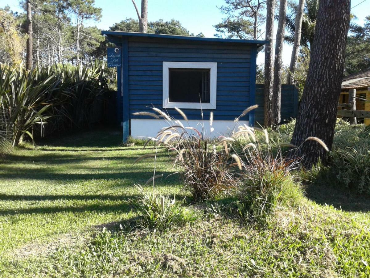 Lunas Del Bosque Cabana Y Apartamento En Suite La Paloma Kültér fotó
